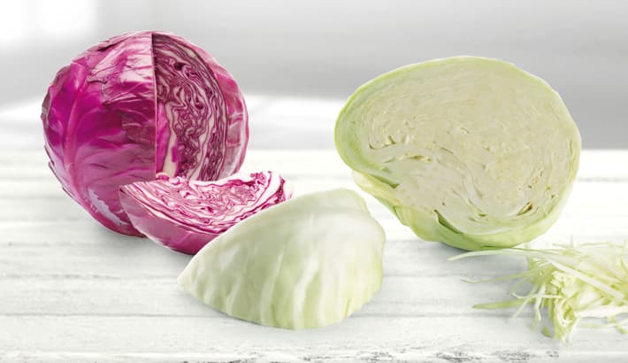 Sauerkraut and red cabbage