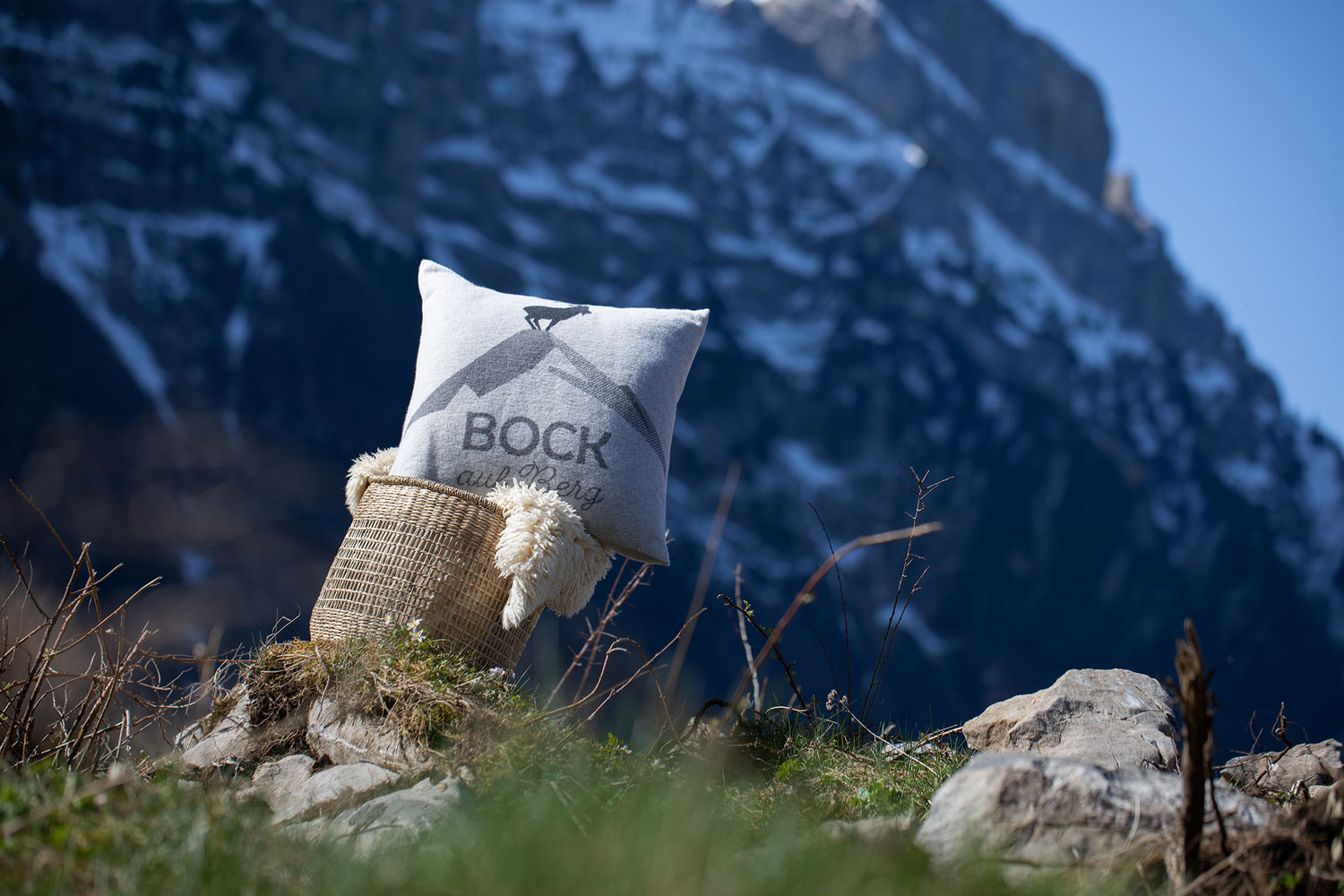 Order Cushion Cover Alpine Ibex Color Felt Grey 50x50cm by David