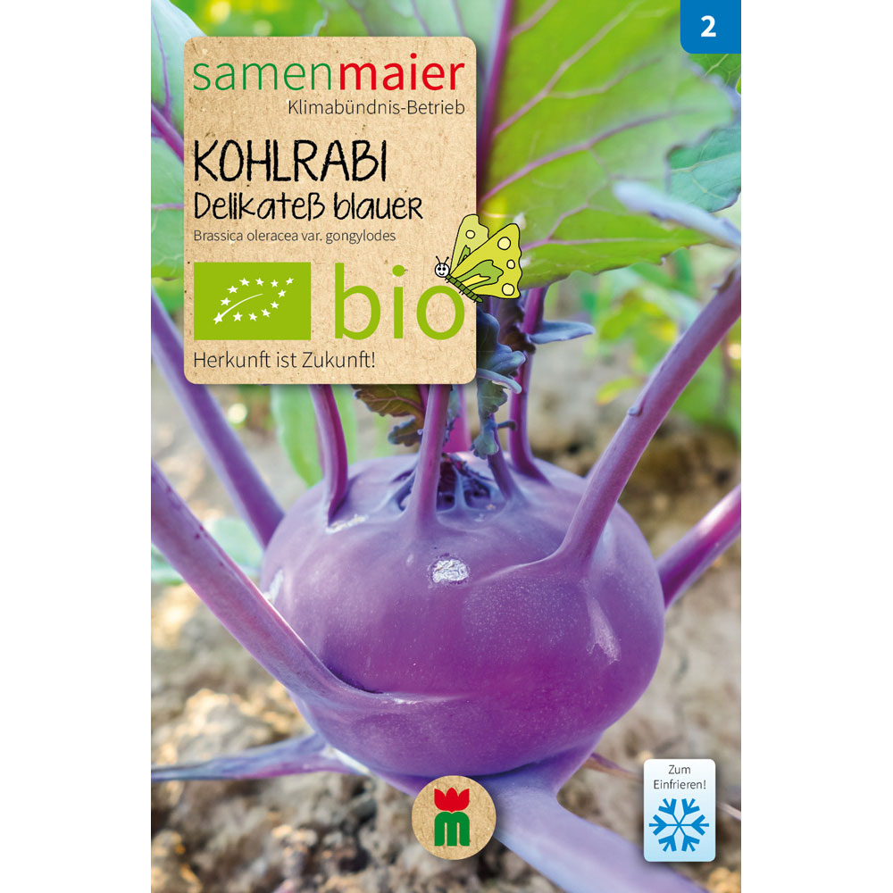 Bio Kohlrabi Delikatess blauer Saatgut für zirka 50 Pflanzen online