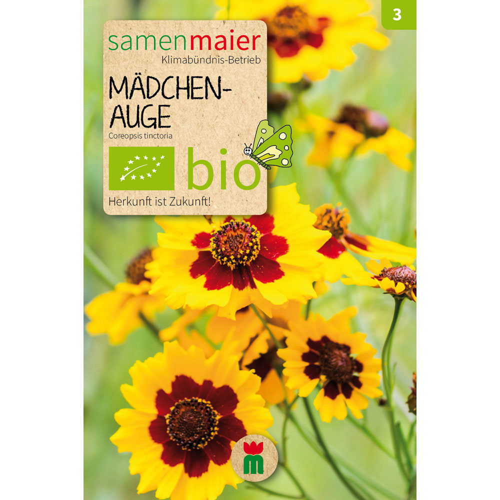 monstera knstlich Knstliche Monstera-Pflanze Tutor Exclusiv