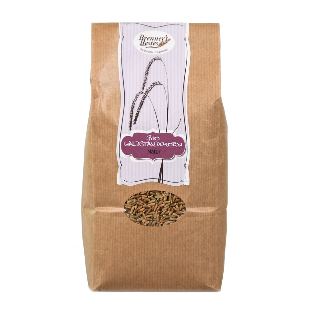 flower sprout saatgut Sunflower Sprouts Organic Seeds RAW / 6 oz. / Organic
