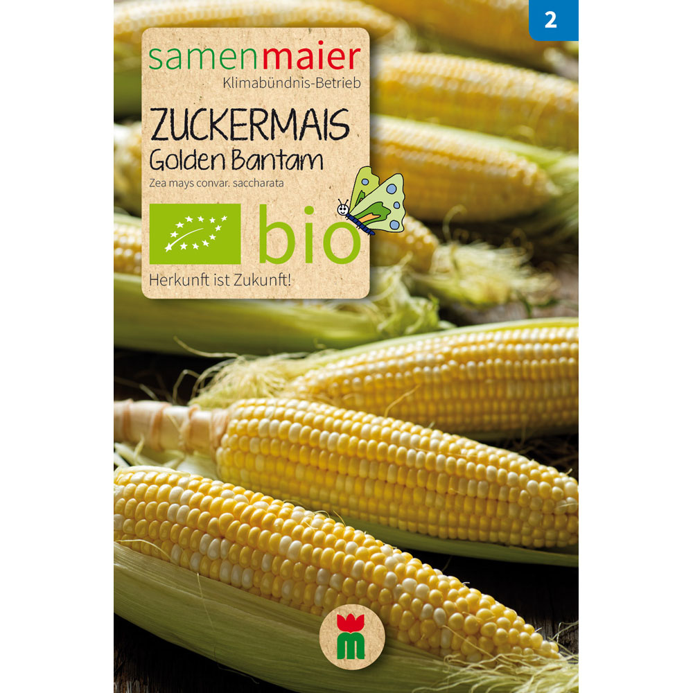 brokkolisamen sulforaphan Swanson Sulforaphan aus Brokkoli 400 mcg 60 Veggie Kapseln – Medpak main image 0