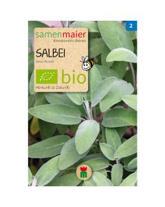 Bio Salbei - Saatgut für zirka 20 Pflanzen