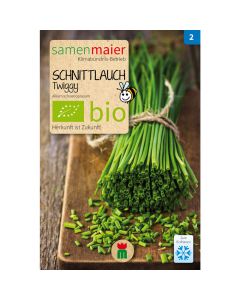 Bio Schnittlauch Twiggy feinröhrig - 0.3 g Saatgut