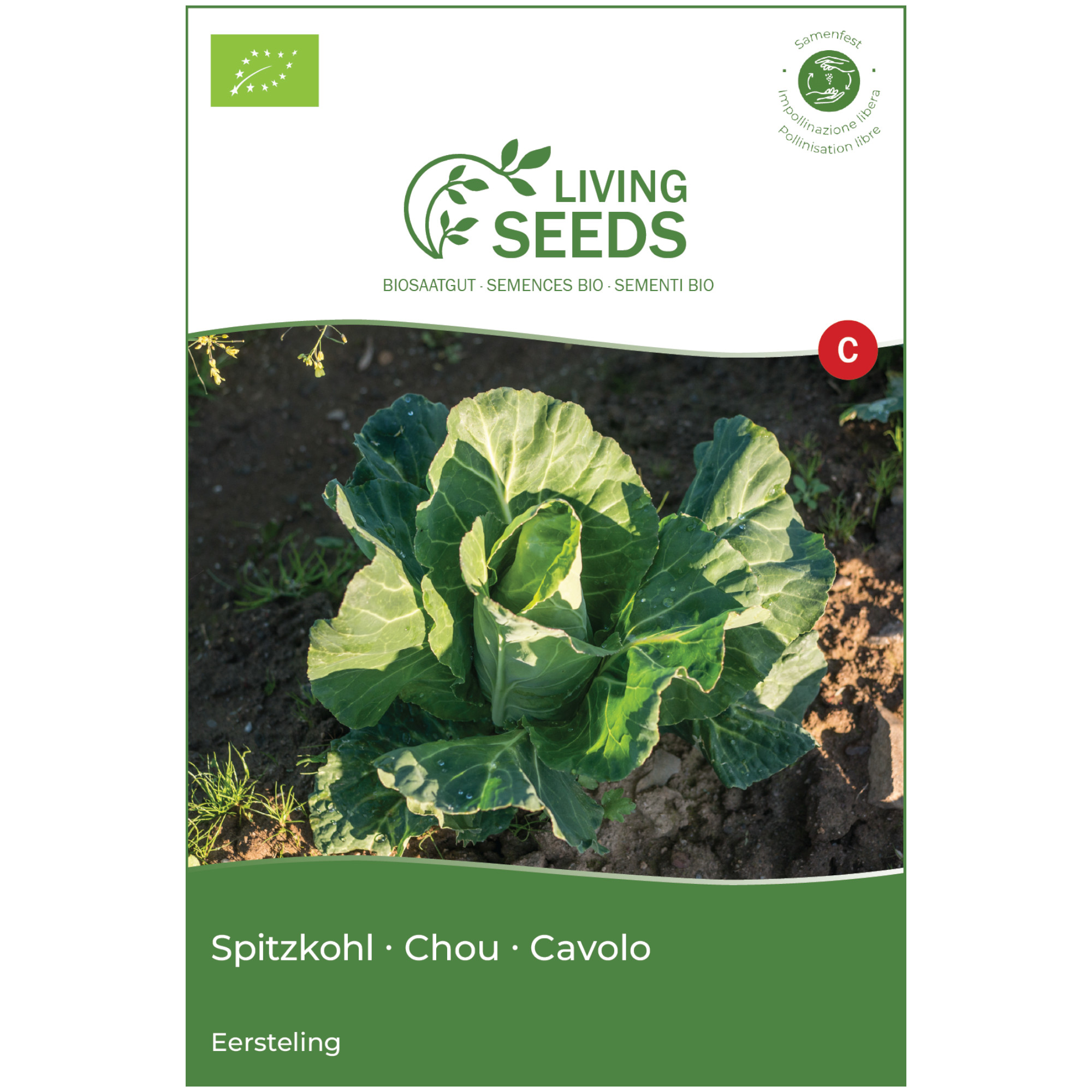 Bio Fenchel Perfection 4.85g Saatgut von Living Seeds jetzt online kaufen!
