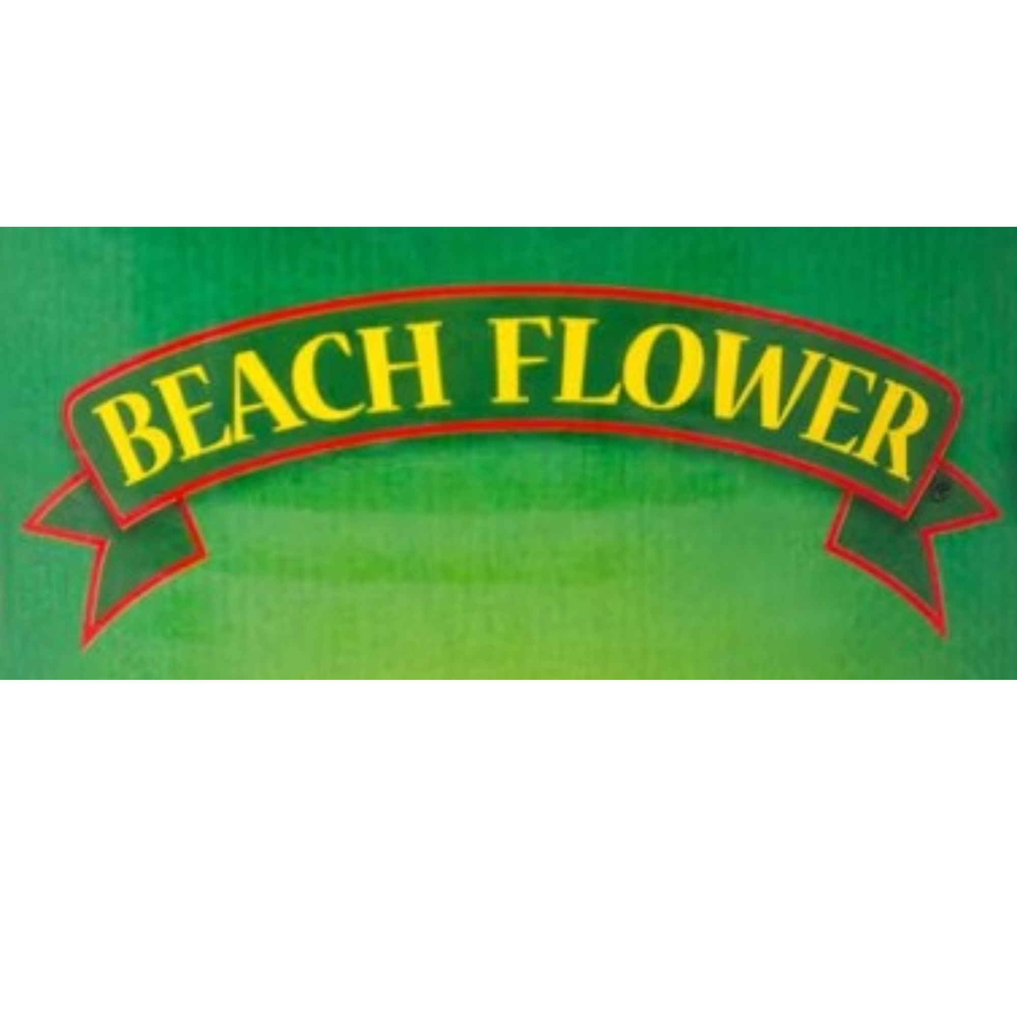 Beach Flower