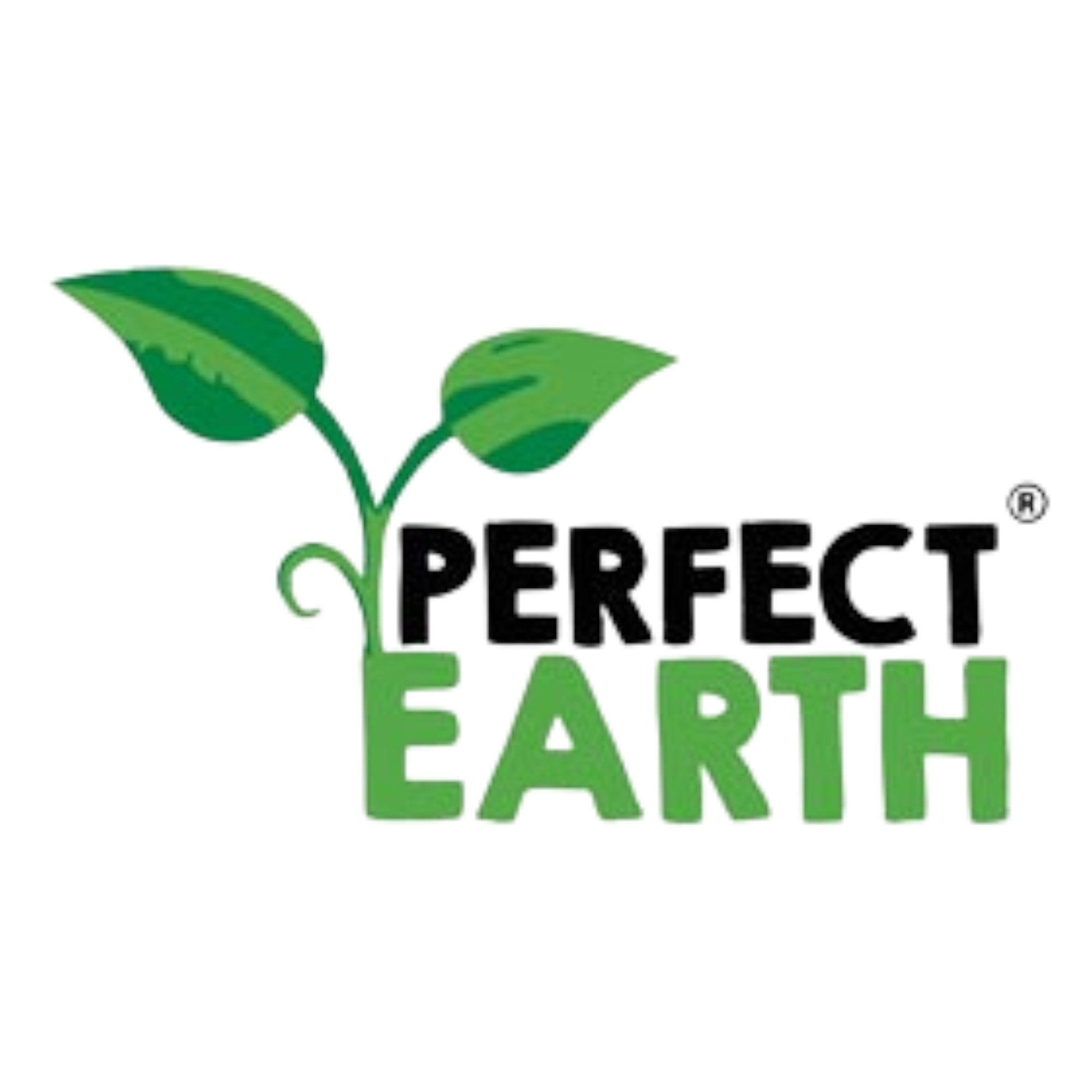 Perfect Earth